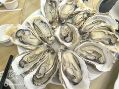 -冯姐生蚝(长隆横琴店)