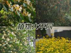 -中国农业博物馆