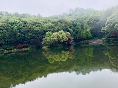 -岳麓山风景名胜区