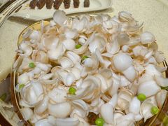 -惠丰堂饭庄(北洼路店)