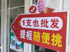 -亿兴佳诺雪糕批发