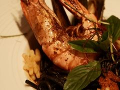 -森Some Fusion(荔湾店)