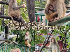 -黔灵山公园