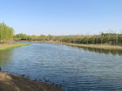-东郊湿地公园