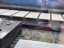 -爱儿美儿童摄影(朝阳公园店)