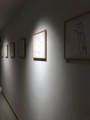 -纯粹医美