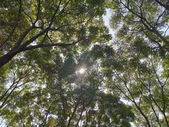 -尚贤河湿地