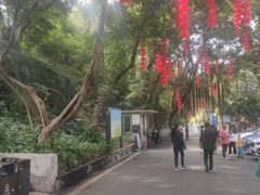 -晓港公园