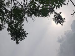 -丽华园(青少年宫店)