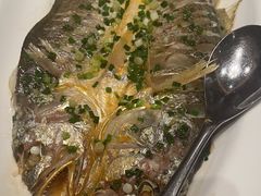 -同庆楼(天鹅酒家店)