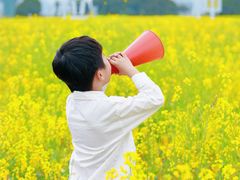 -长洲岛
