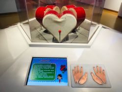 -北京科学中心儿童乐园