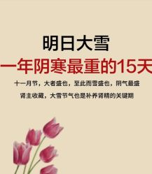 -雅曼妮spa美容养生