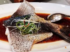 -沪碟·精菜坊(闵行店)