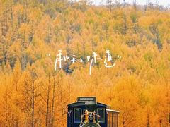 -莫尔道嘎国家森林公园