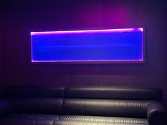 -Hi City·城市之巅