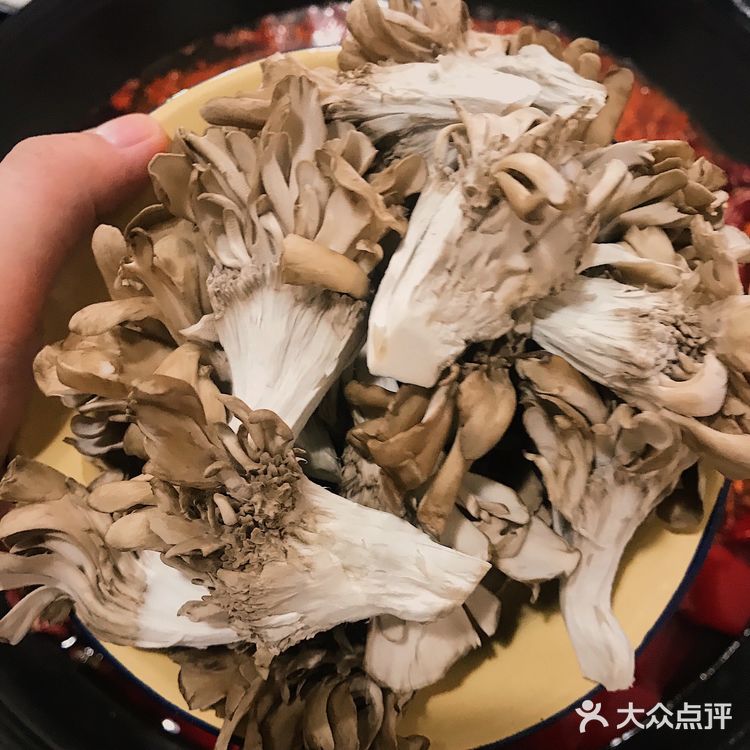 大渡口三十年土著推荐的吃了不巴味的老火锅