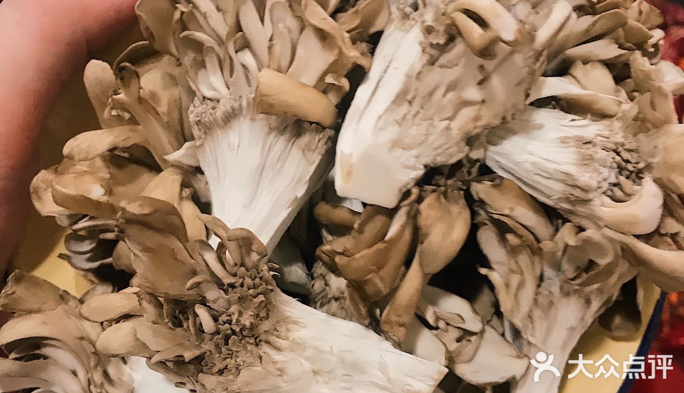 大渡口三十年土著推荐的吃了不巴味的老火锅