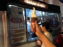 -富豪雪糕车流动点(尖沙咀店)