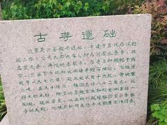 -上海方塔园