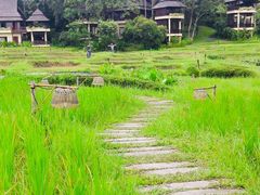 -四季酒店下午茶