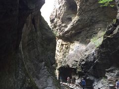 -牛背梁国家森林公园