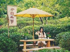 -天目湖山水园