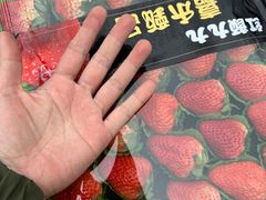 -海吉星国际农产品物流管理有限公司