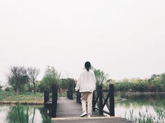 -梁鸿国家湿地公园