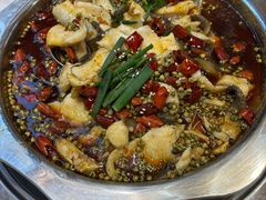 -乡土特色.冷锅鱼.牦牛肉汤锅