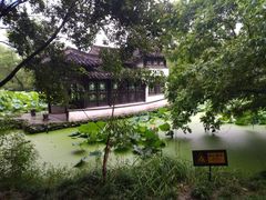 -盆景园(扬州大运河文化旅游度假区)