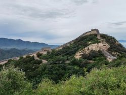 -小忠丽格医美