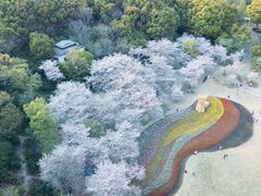 -苏州上方山国家森林公园