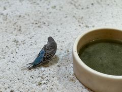 -上海大自然野生昆虫馆