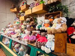 -济州岛泰迪熊博物馆