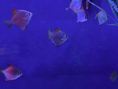 -沈阳海洋探索中心