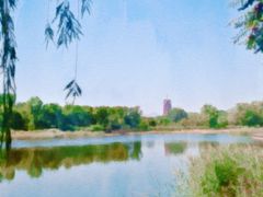 -永定河休闲森林公园