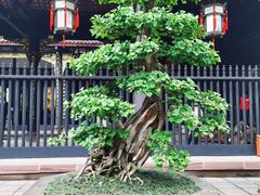 -成都武侯祠博物馆