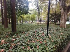 -徐家汇源景区-衡山公园