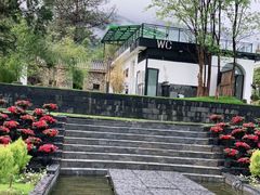 -云禾壹海景庄园餐厅