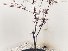 -海岛日记(养马岛店)
