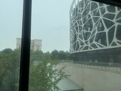 -首都医科大学附属北京天坛医院