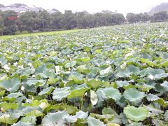 -韶山毛泽东同志故居