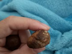 -阿男野栗王(金门路店)