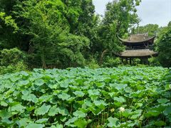 -三苏祠