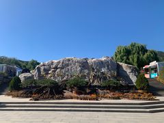 -北京西山国家森林公园