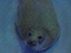 -广州海洋馆