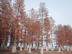 -四明湖