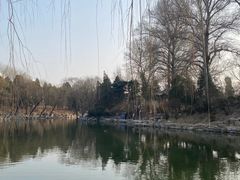-清华大学-观畴园餐厅