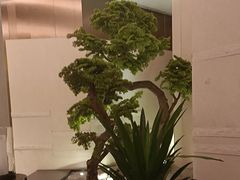 -同庆楼(滨湖万达广场店)